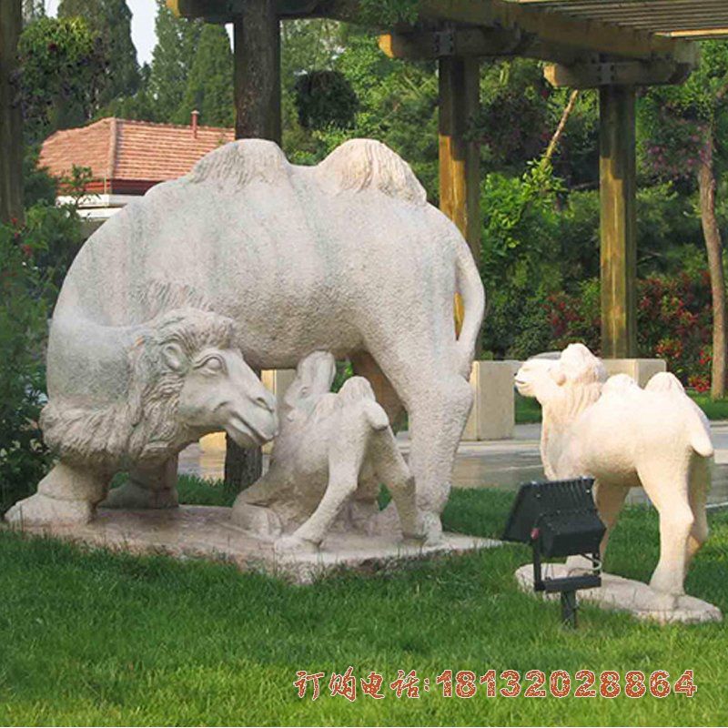 石头骆驼雕塑，石雕骆驼 (1)